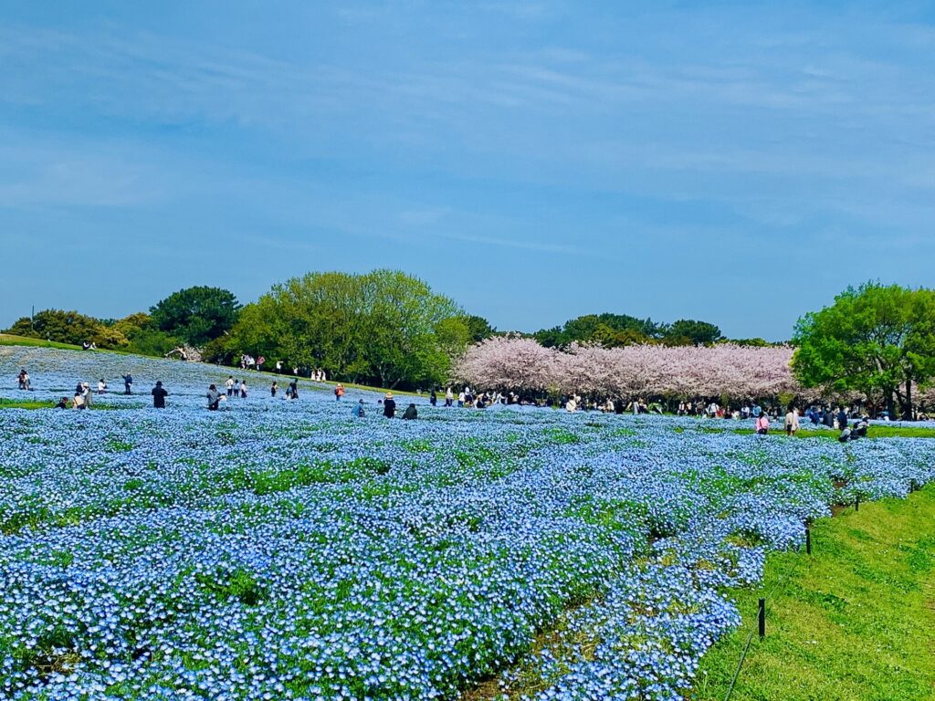 海の中道海浜公園