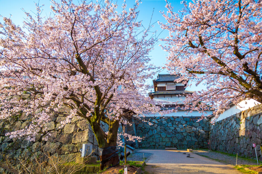
舞鶴公園